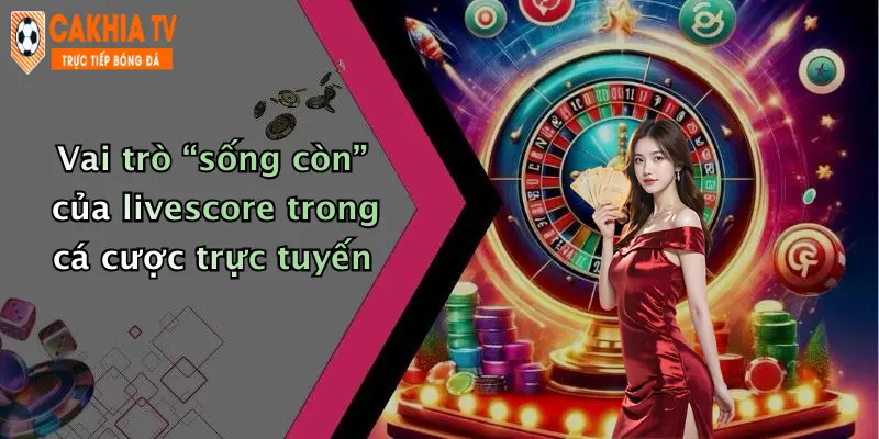 Vai trò “sống còn” của livescore trong cá cược trực tuyến